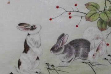 十兔九苦最命苦的兔几月出生，八月出生的兔子出人头地难