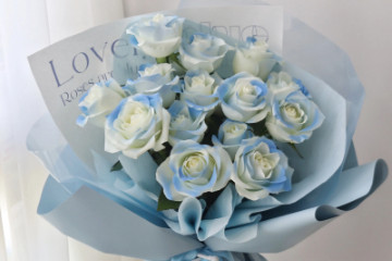 碎冰蓝玫瑰花语和寓意，是送给你星辰和大海(并不是蓝玫瑰)