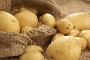 土豆怎么样保存才能不发芽不变绿，最佳存放温度10℃-15℃