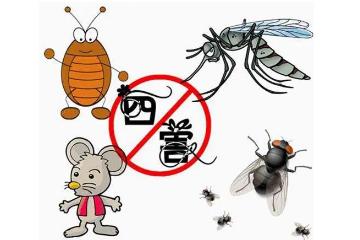 四害是指哪4种，苍蝇/蟑螂/老鼠/蚊子(并不是一成不变)