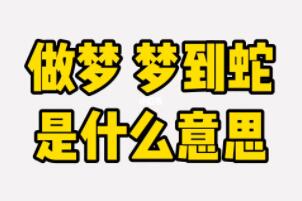 梦到蛇是什么征兆 女性，预示最近工作和生活都有上升迹象