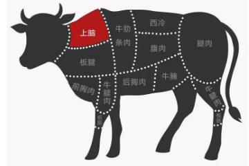 牛上脑是哪个部位，牛后颈部的肉(俗称脖子肉)