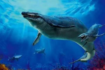 巨齿鲨的祖先是什么，耳齿鲨(曾经的海洋霸主)