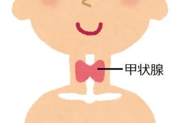甲状腺最怕2个水果，香蕉和榴莲会刺激甲状腺结节增大
