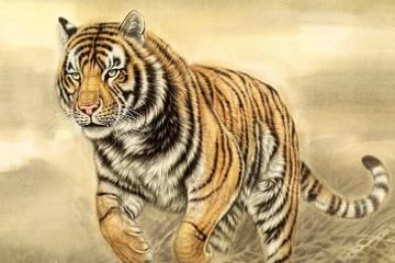 2022年最倒霉的四大生肖，虎/猴/猪/兔