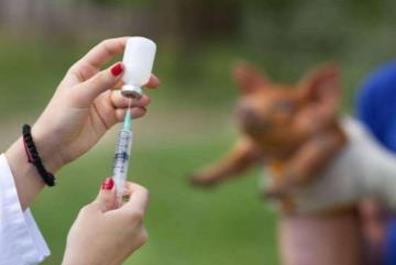 10种情况不需要打狂犬疫苗，不能保证100%没事