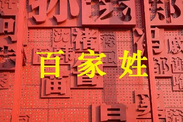 中国姓氏排名前十名，王/张/李/刘/陈/杨/黄/周/赵/胡