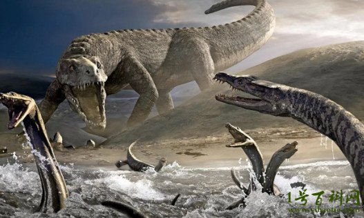 新西兰发现一只活恐龙图片