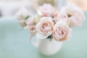 粉玫瑰不能随便送人，花语和爱情相关容易引起误会