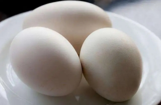 鹅蛋的功效与作用鹅蛋怎么吃最营养，煮鹅蛋/炒鹅蛋营养最高