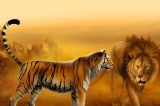 四大猛兽指什么动物，狮子/老虎/猎豹/雄性非洲象