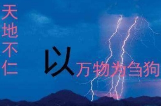 天地不仁以万物为刍狗是什么意思，万物无所谓贵贱之分