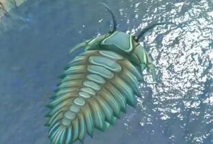史前海洋三大霸主动物，史前三叶虫曾称霸过海洋