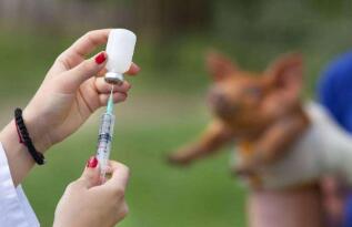其实大部分人不用打狂犬疫苗，无论是被咬或被抓伤都需要打