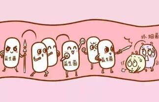 医生为什么不建议吃益生菌，要维持肠道微生物的多样性和平衡