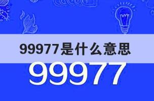 99977的含义是什么意思，暗指＂珍惜眼前人＂