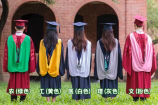 学士服的领子颜色代表什么含义，6种颜色代表了6种不同专业